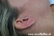 DSC_1276.jpg
